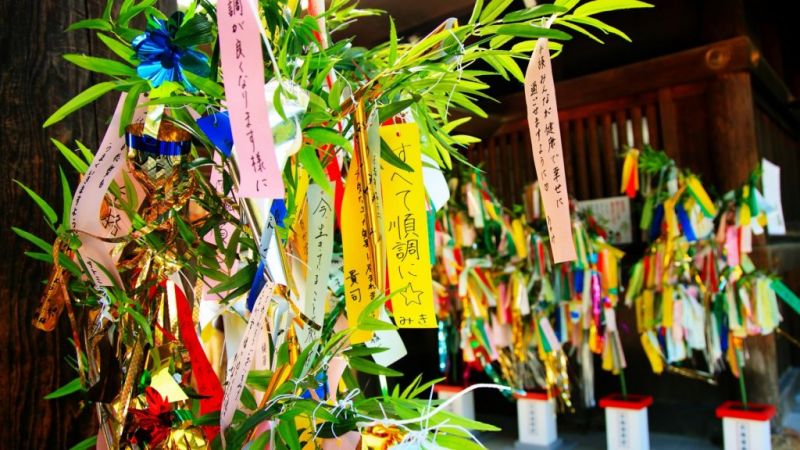 Rất nhiều điều ước được treo trên cây tre vào dịp lễ Tanabata